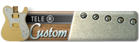 Tele Custom