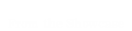 Spotlight Bodies