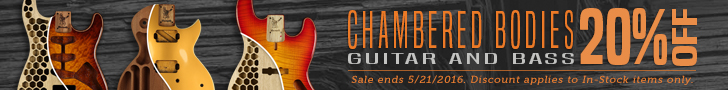 Chambered Guitar Body Sale - 20% Off!