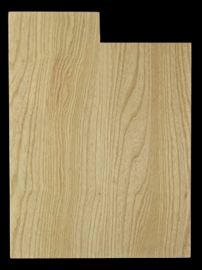 Bass Sized Body Blank, Swamp Ash