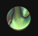 Abalone Dot, 1/4