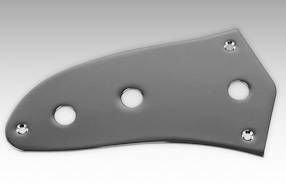 Jaguar Control Plate, Chrome