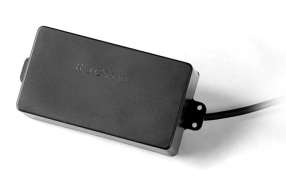 Pitbull Humbucker, Black