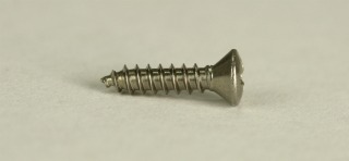 Pickguard Screw, Dozen, Chrome