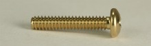 Blade Switch & Pickup Mounting Screw, Dozen, Gold
