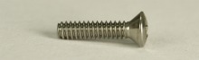 Blade Switch & Pickup Mtg Screw, Oval, Dozen, Chrome