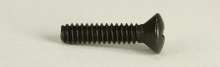 Blade Switch & Pickup Mtg Screw, Oval, Dozen, Black
