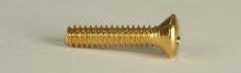 Blade Switch & Pickup Mtg Screw, Oval, Dozen, Gold