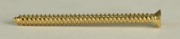 P90 Mounting Screw, Dozen, Gold