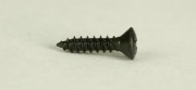 Pickguard Screw, Dozen, Black