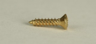 Pickguard Screw, Dozen, Gold