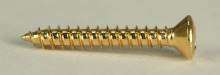 Non-Tremolo Bridge Screw, Set of 6, Gold