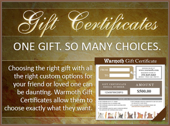 Warmoth Gift Certificates - One Gift. So Many Choices.