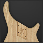 Gecko 5 Body