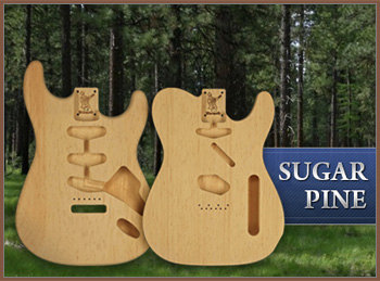 Sugar Pine