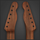 Pau Ferro Tele replacement neck