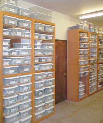 Shop Tour
