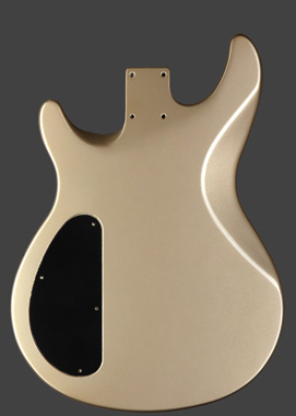 VIPP309