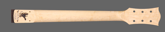 HN73 back