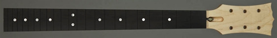 LPN1060