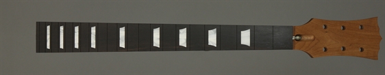 LPN1119