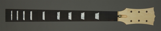 LPN1137