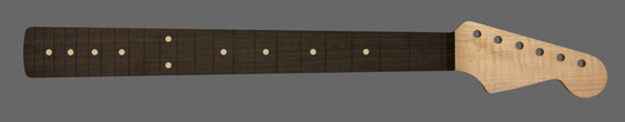 MJN599