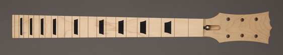 lpn1193