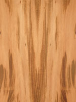wood type