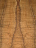 wood type