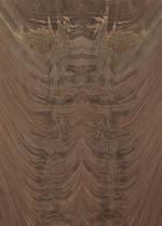 wood type