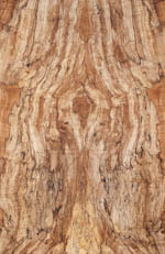 wood type