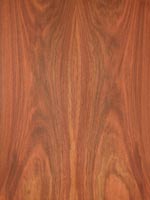 wood type