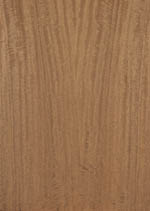 wood type
