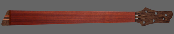Gecko 6-String Guitar Neck front